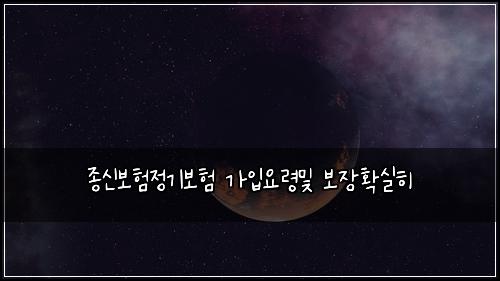 종신보험정기보험 가입요령및 보장확실히