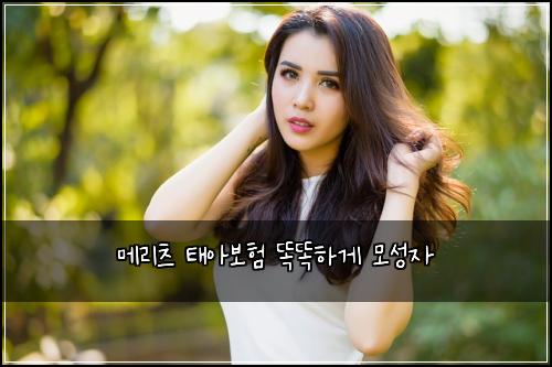 메리츠 태아보험 똑똑하게  모성자