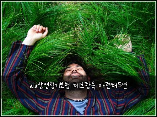 aia์๋ช
์ ๊ธฐ๋ณดํ ์ฒดํฌํญ๋ชฉ ๋ง๋ จํด๋๋ฉด