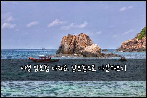 여성 암보험 바래요 암보험으로 다살펴보기