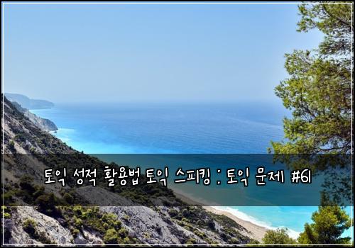 토익 성적 활용법 토익 스피킹 : 토익 문제 #61