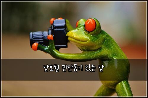 암보험 판단돕기  있는 암