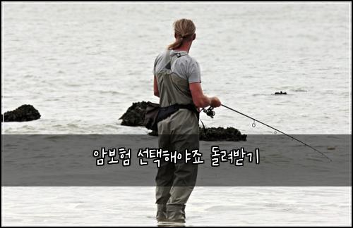 암보험 선택해야죠  돌려받기