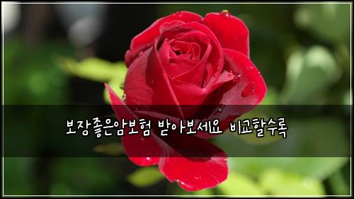 ๋ณด์ฅ์ข์์๋ณดํ ๋ฐ์๋ณด์ธ์ ๋น๊ตํ ์๋ก