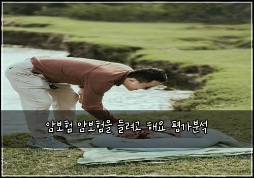 암보험 암보험을 들려고 해요 평가분석
