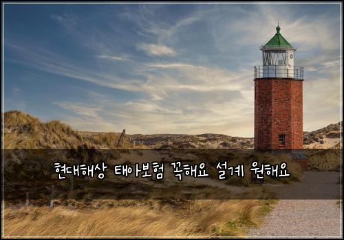 현대해상 태아보험 꼭해요  설계 원해요