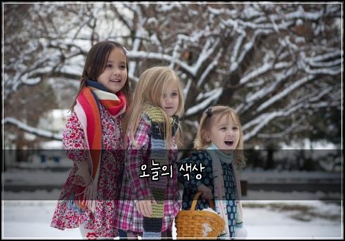 오늘의 색상