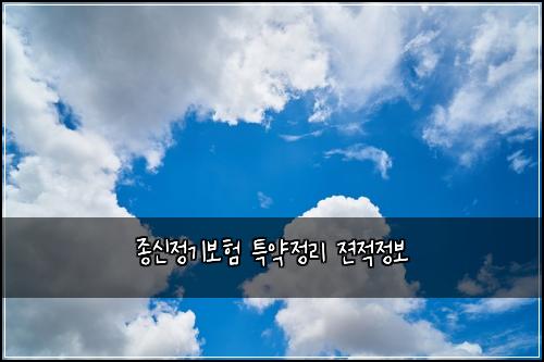 종신정기보험 특약정리  젼적정보
