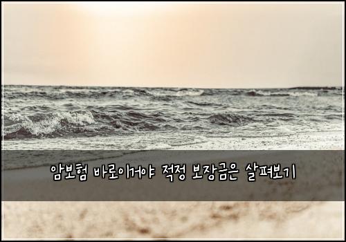 암보험 바로이거야  적정 보장금은 살펴보기