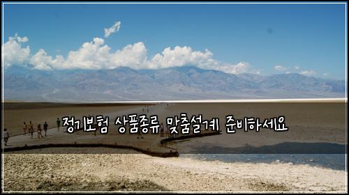정기보험 상품종류  맞춤설계 준비하세요