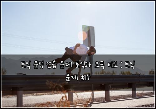 토익 문법 연습 문제 토익과 오픽 비교 : 토익 문제 #14
