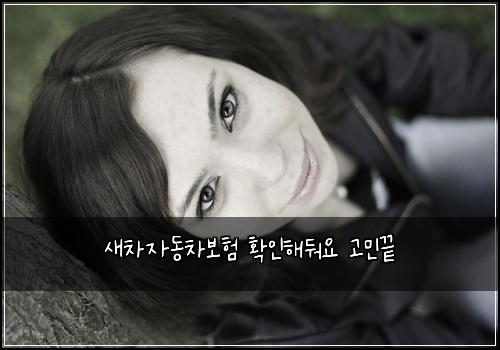 새차자동차보험 확인해둬요  고민끝