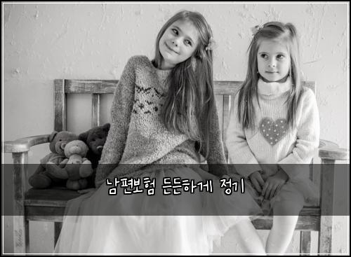 남편보험 든든하게  정기