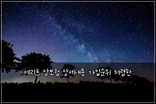 ๋ฉ๋ฆฌ์ธ ์๋ณดํ ์์ธ๋ด์ฉ ๊ฐ์
์์ ์ ๋ ดํ