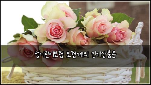 성어린이보험 보험계의 인기상품은