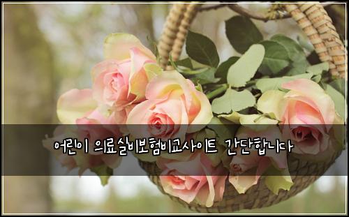 어린이 의료실비보험비교사이트 간단합니다
