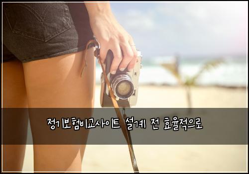정기보험비교사이트 설계 전 효율적으로