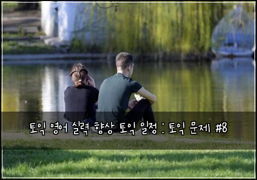 토익 영어 실력 향상 토익 일정 : 토익 문제 #8