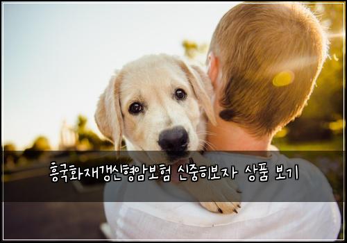 흥국화재갱신형암보험 신중히보자  상품 보기