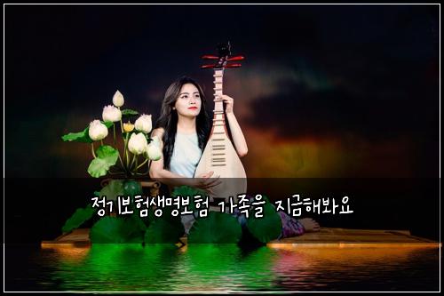 정기보험생명보험 가족을 지금해봐요