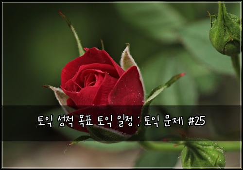 토익 성적 목표 토익 일정 : 토익 문제 #25