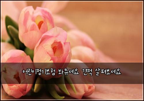 어린이정기보험 봐쥬세요  견적 살펴보세요