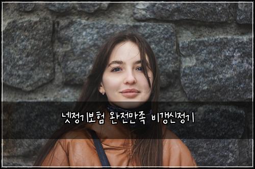 넷정기보험 완전만족  비갱신정기