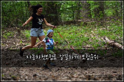 자동차첫보험료 알뜰하게 보험순위