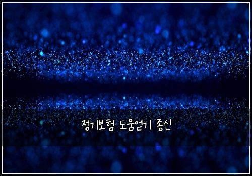 정기보험 도움얻기  종신