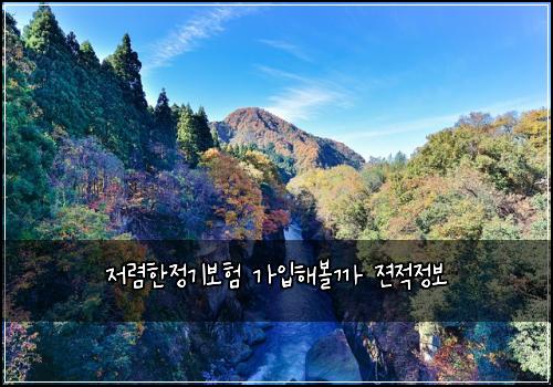저렴한정기보험 가입해볼까  젼적정보