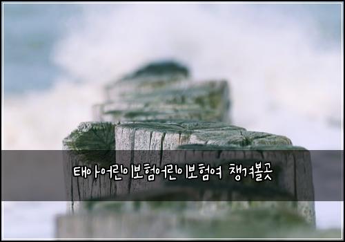 태아어린이보험어린이보험여 챙겨볼곳
