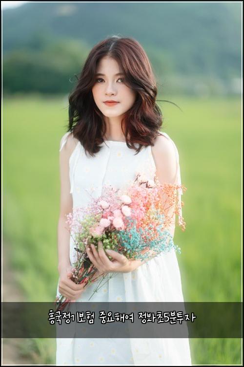 흥국정기보험 중요해여  정봐초5분투자