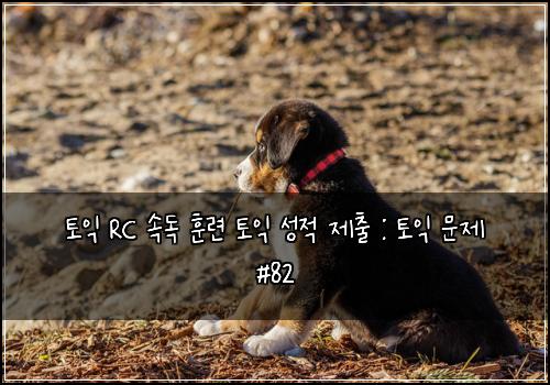 토익 RC 속독 훈련 토익 성적 제출 : 토익 문제 #82