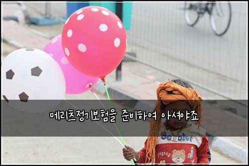 ๋ฉ๋ฆฌ์ธ ์ ๊ธฐ๋ณดํ์ ์ค๋นํ์ฌ ์์
์ผ์ฃ