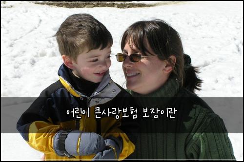 어린이 큰사랑보험 보장이란 