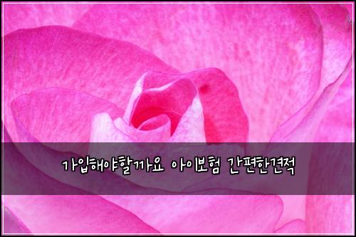 ๊ฐ์
ํด์ผํ ๊น์ ์์ด๋ณดํ ๊ฐํธํ๊ฒฌ์ 