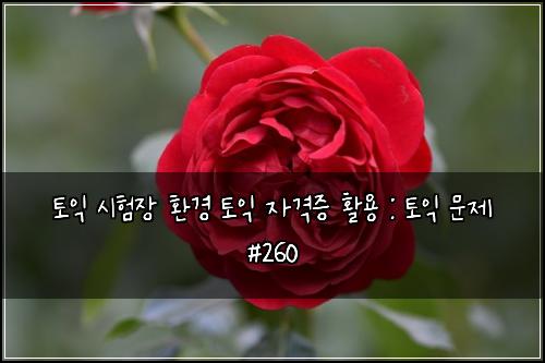 토익 시험장 환경 토익 자격증 활용 : 토익 문제 #260