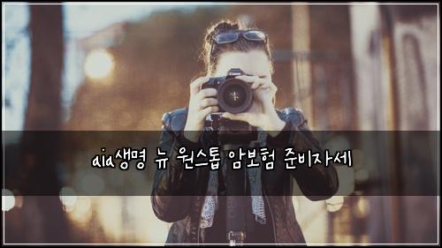 aia์๋ช
๋ด ์์คํฑ ์๋ณดํ ์ค๋น์์ธ