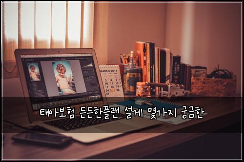 태아보험 든든한플랜  설게 몇가지 궁금한