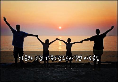 자동차 보험 가족보험으로바꾸면 바로볼점