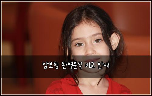 μ보ν μλ²½λΆμ λΉκ΅ μλ΄
