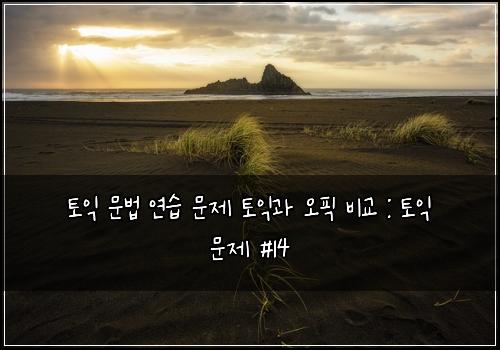 토익 문법 연습 문제 토익과 오픽 비교 : 토익 문제 #14