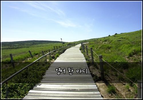 영어 한 마디