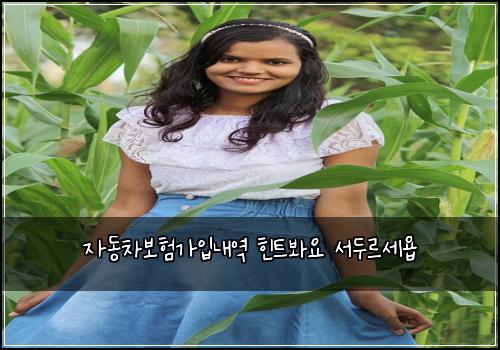 자동차보험가입내역 힌트봐요 서두르세욥