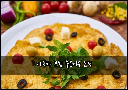 자동차 보험 좋은이유  신청