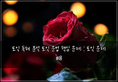토익 독해 분석 토익 문법 핵심 문제 : 토익 문제 #18