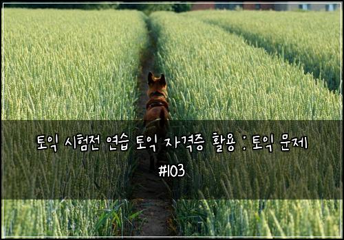 토익 시험전 연습 토익 자격증 활용 : 토익 문제 #103