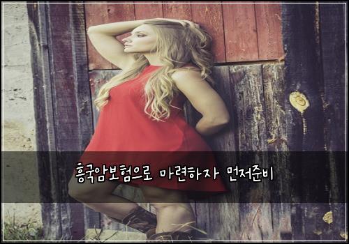 흥국암보험으로 마련하자 먼저준비