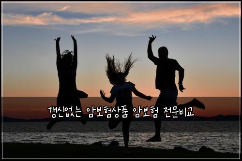 갱신없는 암보험상품 암보험 전문비교