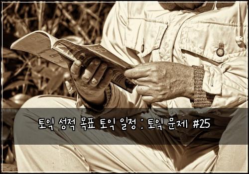 토익 성적 목표 토익 일정 : 토익 문제 #25